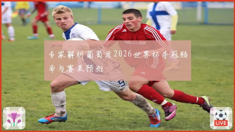 专家解析葡萄牙2026世界杯夺冠赔率与赛果预测