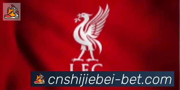 2026世界杯竞猜入口合作伙伴