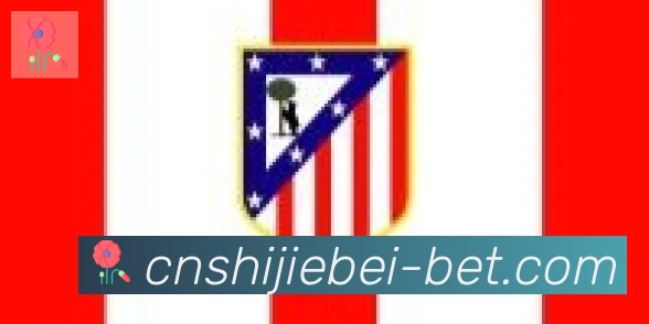 2026世界杯竞猜入口合作伙伴